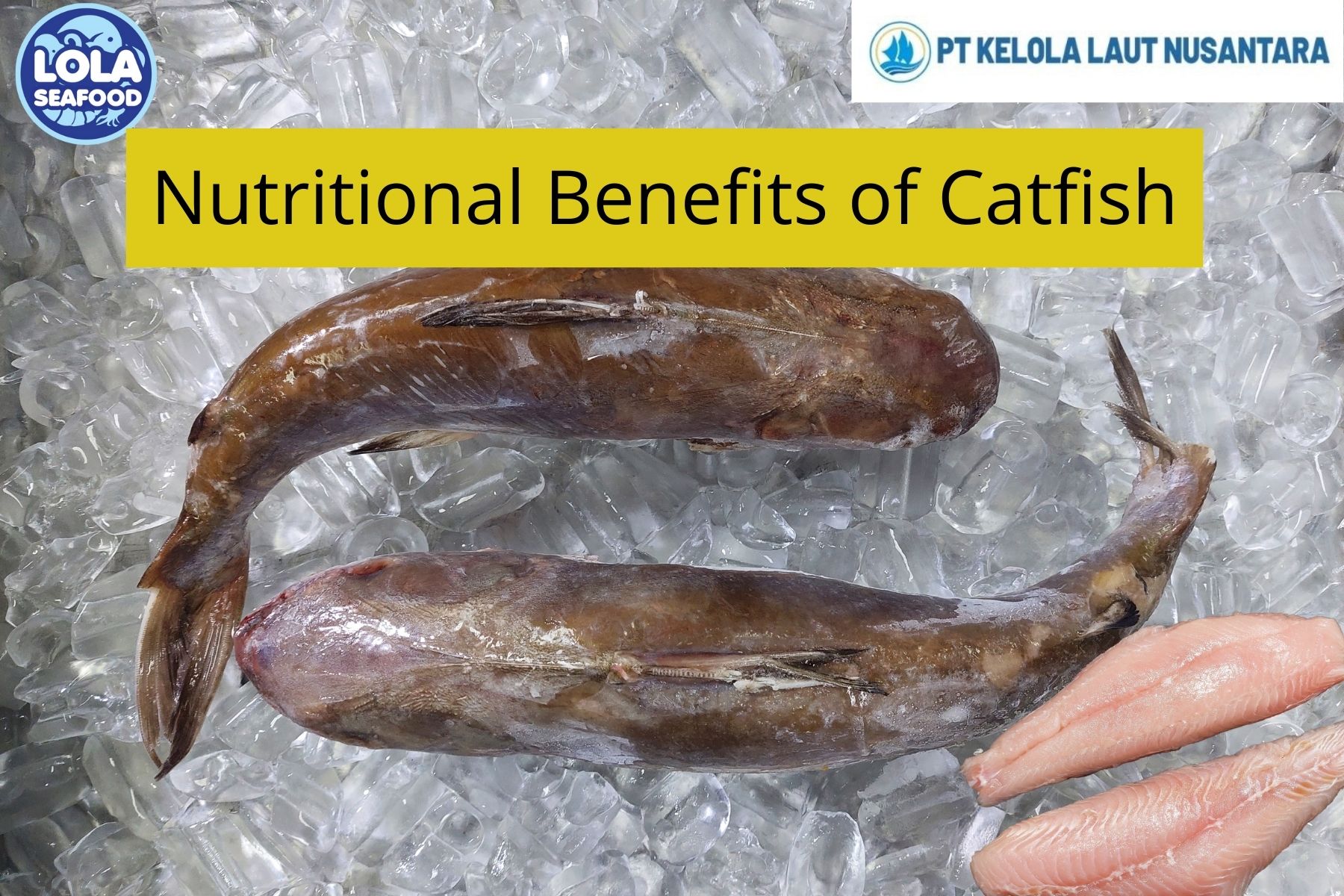 5 thing Nutritional Benefits of Catfish